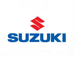 Tipske gumijaste preproge za Suzuki